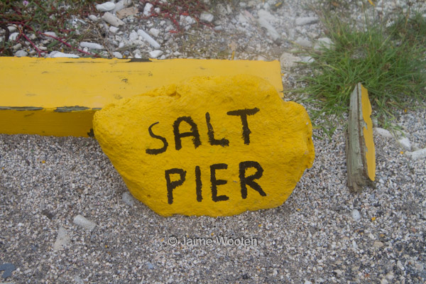 Salt Pier 