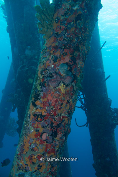 Salt Pier Pillar