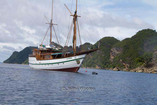 PT Tambora Live-aboard Boat