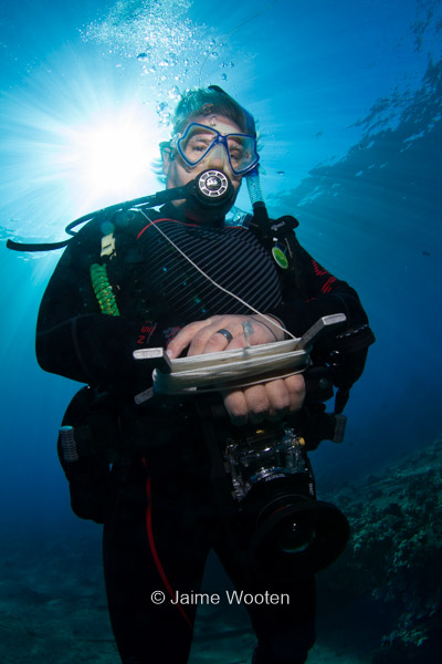 Dive Buddy Beebop