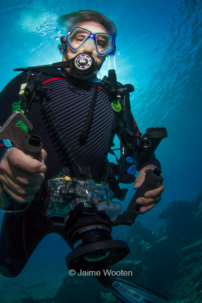 Dive Buddy Beebop